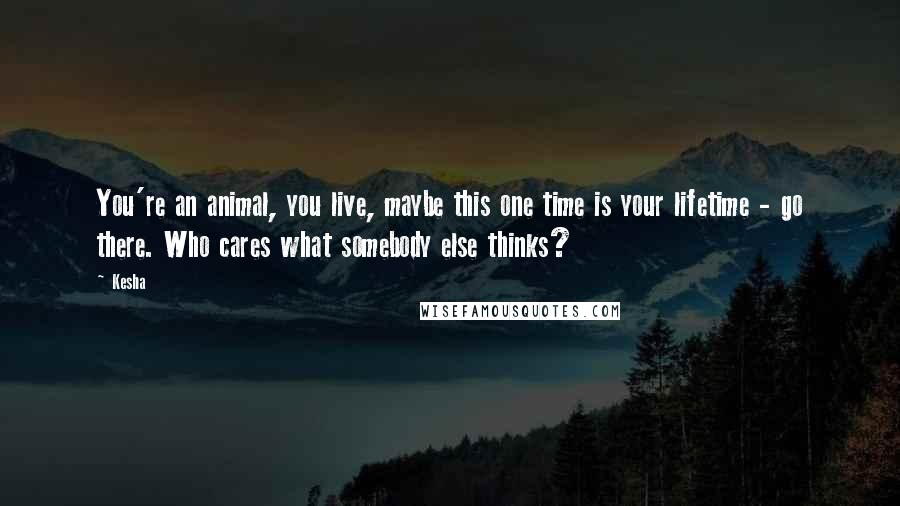Kesha Quotes: You're an animal, you live, maybe this one time is your lifetime - go there. Who cares what somebody else thinks?