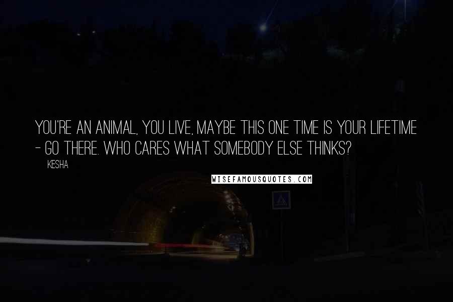 Kesha Quotes: You're an animal, you live, maybe this one time is your lifetime - go there. Who cares what somebody else thinks?