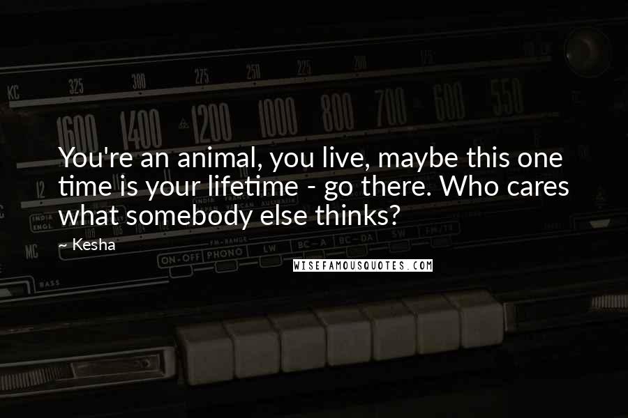 Kesha Quotes: You're an animal, you live, maybe this one time is your lifetime - go there. Who cares what somebody else thinks?
