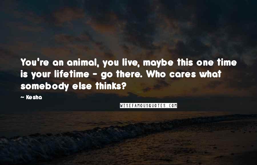 Kesha Quotes: You're an animal, you live, maybe this one time is your lifetime - go there. Who cares what somebody else thinks?