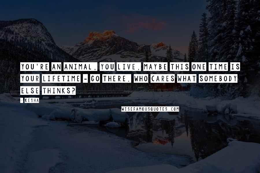 Kesha Quotes: You're an animal, you live, maybe this one time is your lifetime - go there. Who cares what somebody else thinks?