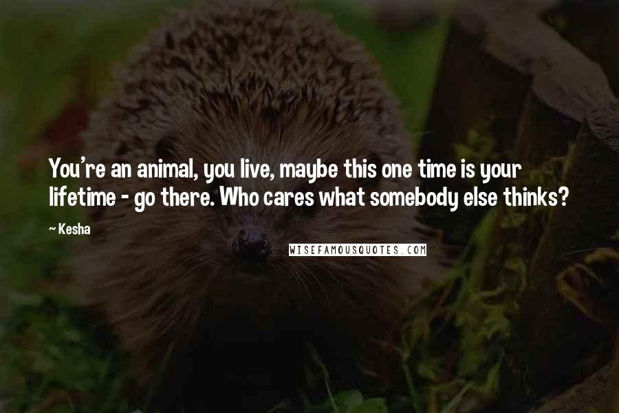 Kesha Quotes: You're an animal, you live, maybe this one time is your lifetime - go there. Who cares what somebody else thinks?
