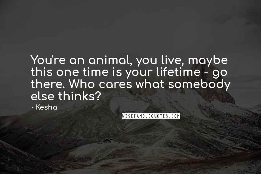 Kesha Quotes: You're an animal, you live, maybe this one time is your lifetime - go there. Who cares what somebody else thinks?