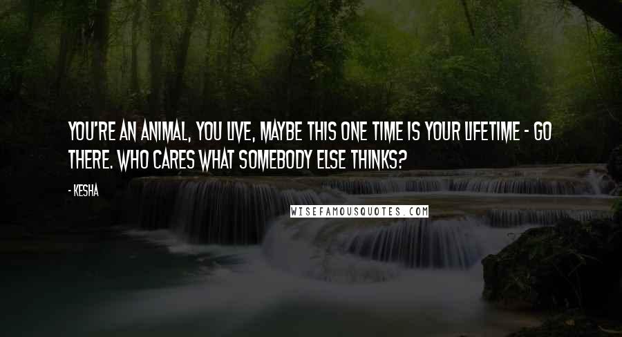 Kesha Quotes: You're an animal, you live, maybe this one time is your lifetime - go there. Who cares what somebody else thinks?