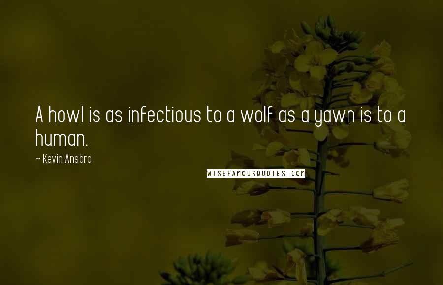 Kevin Ansbro Quotes: A howl is as infectious to a wolf as a yawn is to a human.
