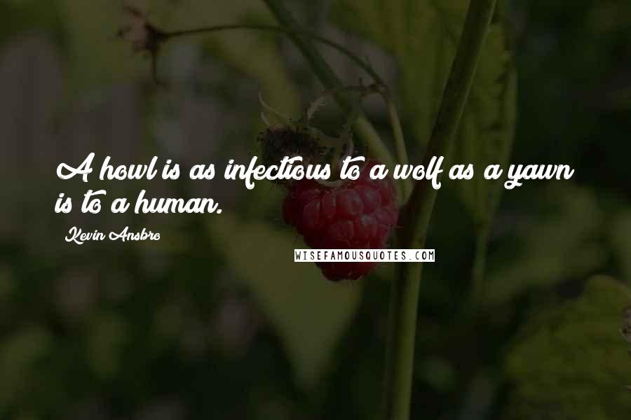 Kevin Ansbro Quotes: A howl is as infectious to a wolf as a yawn is to a human.