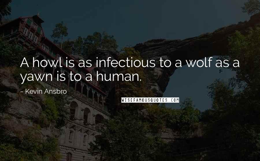 Kevin Ansbro Quotes: A howl is as infectious to a wolf as a yawn is to a human.