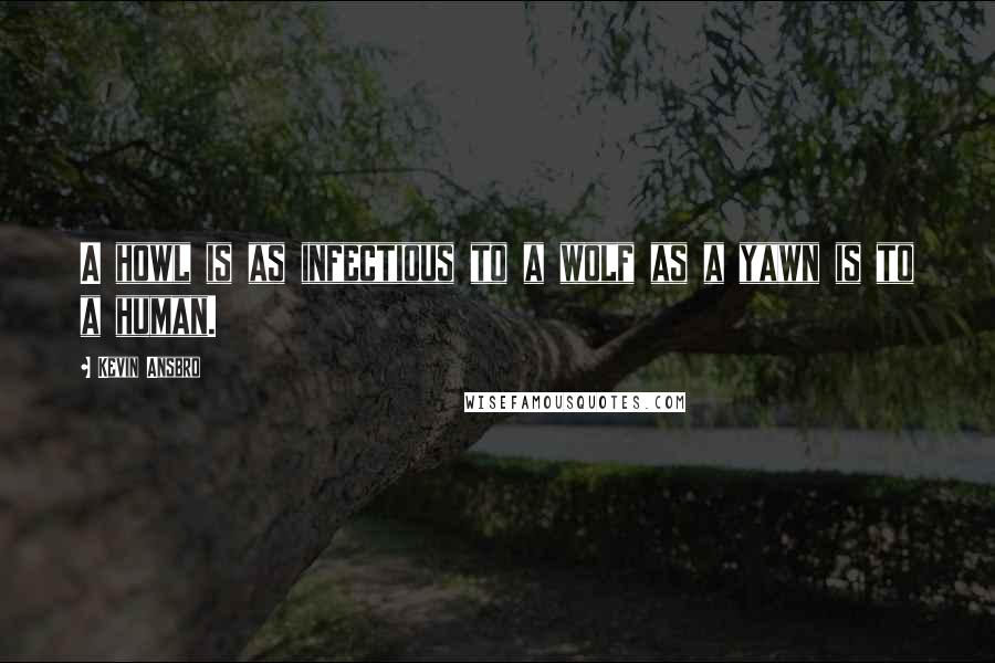 Kevin Ansbro Quotes: A howl is as infectious to a wolf as a yawn is to a human.