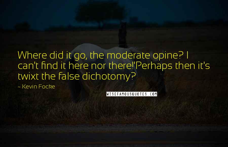 Kevin Focke Quotes: Where did it go, the moderate opine? I can't find it here nor there!'Perhaps then it's twixt the false dichotomy?