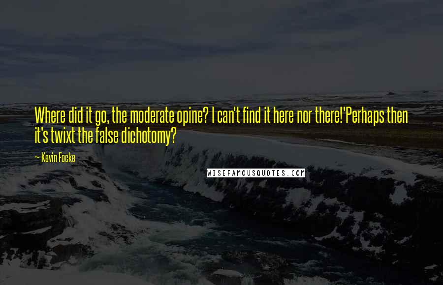 Kevin Focke Quotes: Where did it go, the moderate opine? I can't find it here nor there!'Perhaps then it's twixt the false dichotomy?