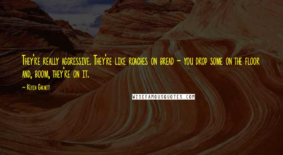Kevin Garnett Quotes: They're really aggressive. They're like roaches on bread - you drop some on the floor and, boom, they're on it.