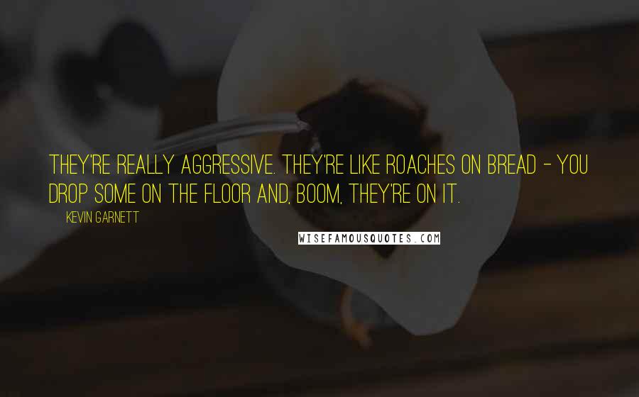 Kevin Garnett Quotes: They're really aggressive. They're like roaches on bread - you drop some on the floor and, boom, they're on it.