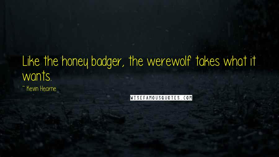 Kevin Hearne Quotes: Like the honey badger, the werewolf takes what it wants.