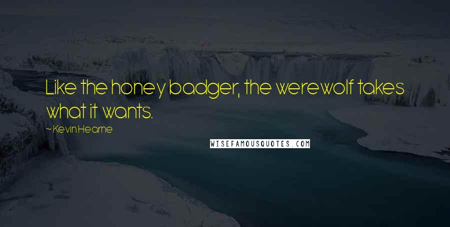 Kevin Hearne Quotes: Like the honey badger, the werewolf takes what it wants.