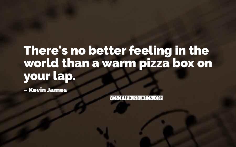 Kevin James Quotes: There's no better feeling in the world than a warm pizza box on your lap.