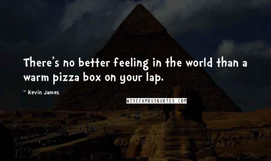 Kevin James Quotes: There's no better feeling in the world than a warm pizza box on your lap.