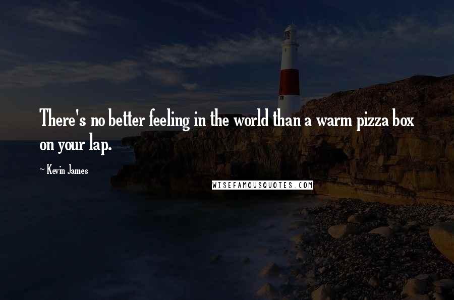 Kevin James Quotes: There's no better feeling in the world than a warm pizza box on your lap.