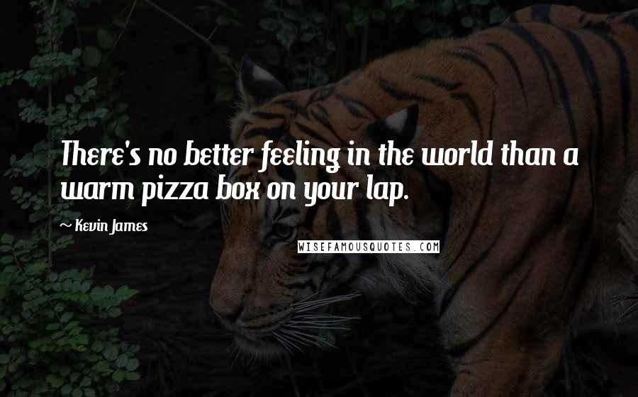 Kevin James Quotes: There's no better feeling in the world than a warm pizza box on your lap.