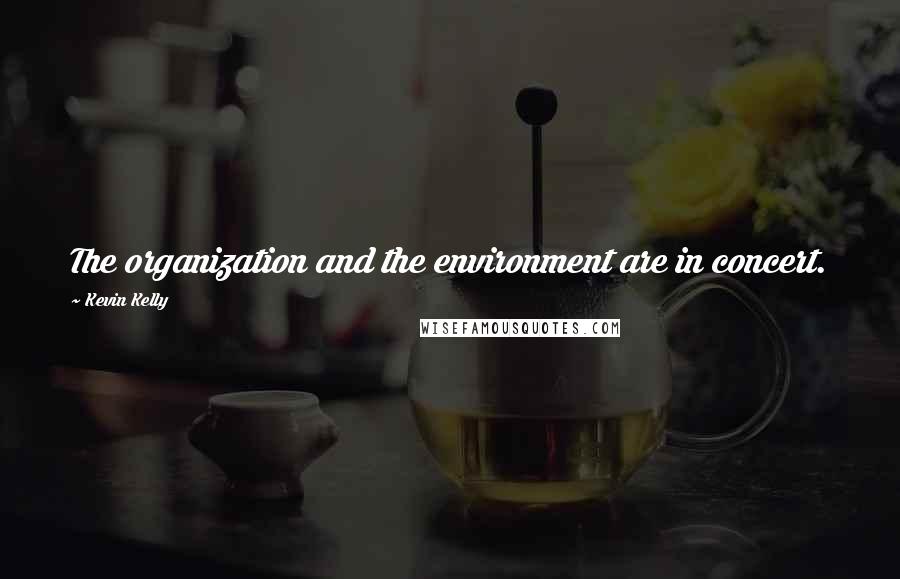 Kevin Kelly Quotes: The organization and the environment are in concert.