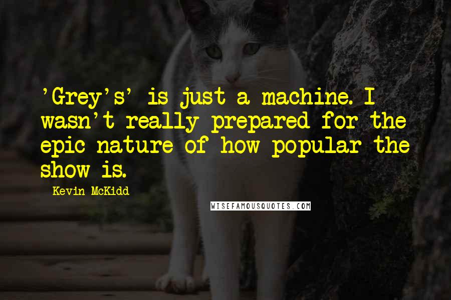 Kevin McKidd Quotes: 'Grey's' is just a machine. I wasn't really prepared for the epic nature of how popular the show is.