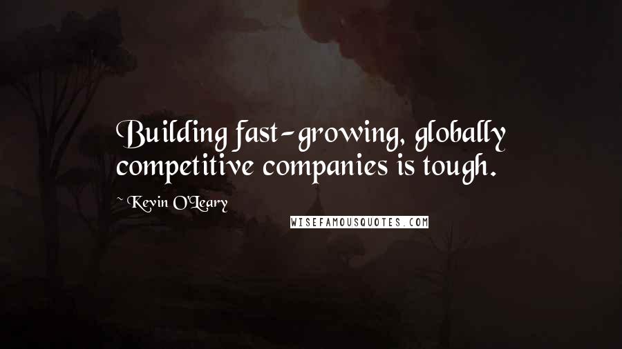 Kevin O'Leary Quotes: Building fast-growing, globally competitive companies is tough.