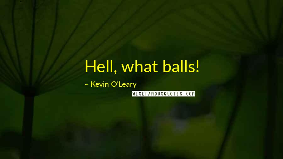 Kevin O'Leary Quotes: Hell, what balls!