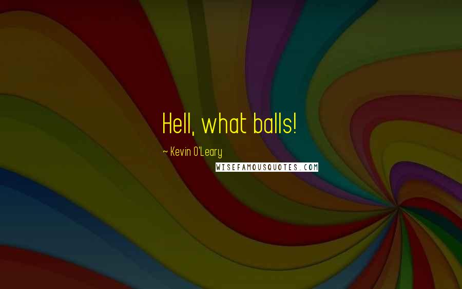 Kevin O'Leary Quotes: Hell, what balls!