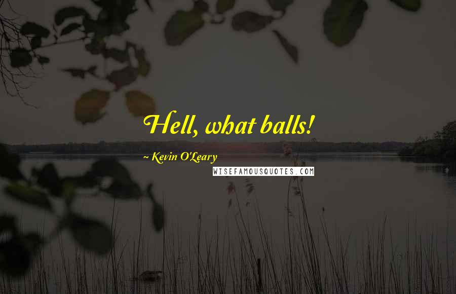 Kevin O'Leary Quotes: Hell, what balls!