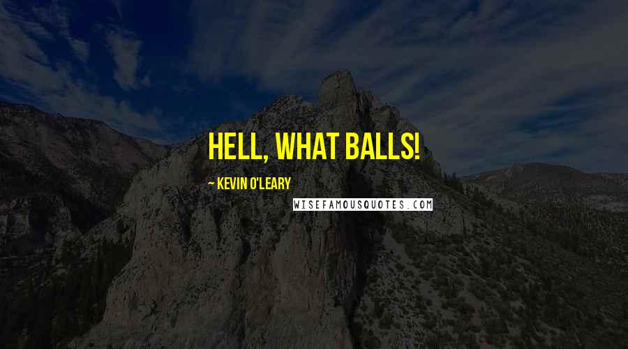 Kevin O'Leary Quotes: Hell, what balls!