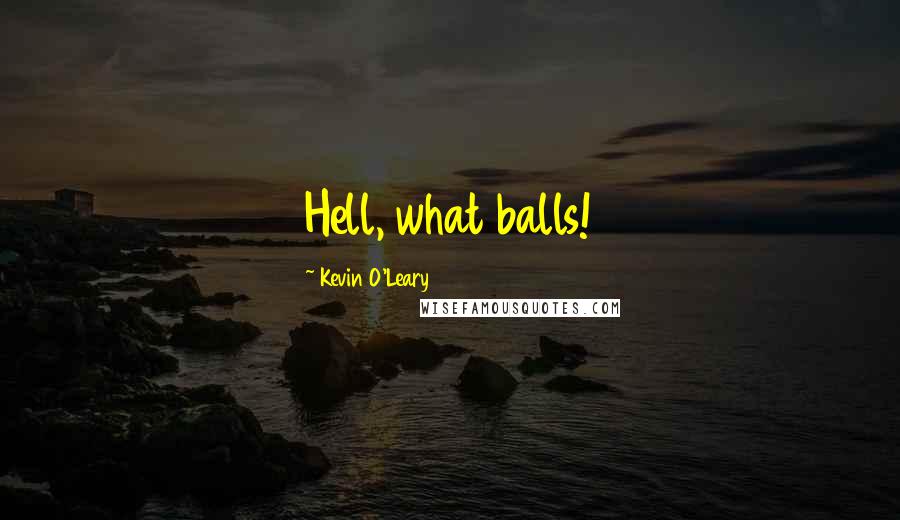 Kevin O'Leary Quotes: Hell, what balls!