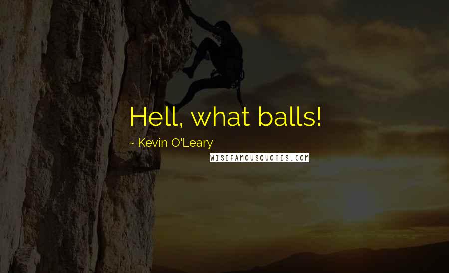 Kevin O'Leary Quotes: Hell, what balls!