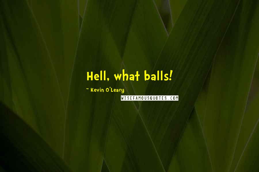 Kevin O'Leary Quotes: Hell, what balls!