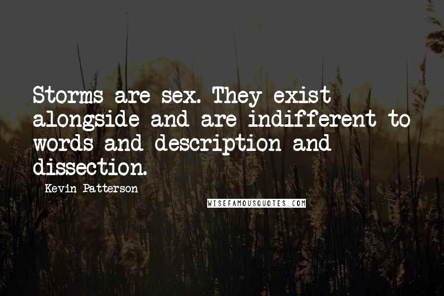 Kevin Patterson Quotes: Storms are sex. They exist alongside and are indifferent to words and description and dissection.