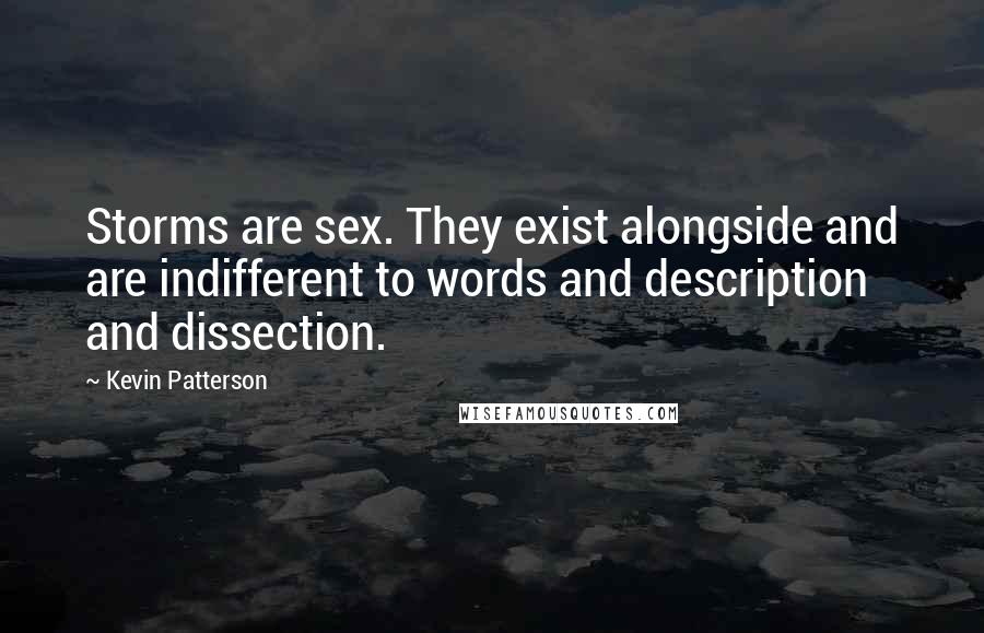 Kevin Patterson Quotes: Storms are sex. They exist alongside and are indifferent to words and description and dissection.