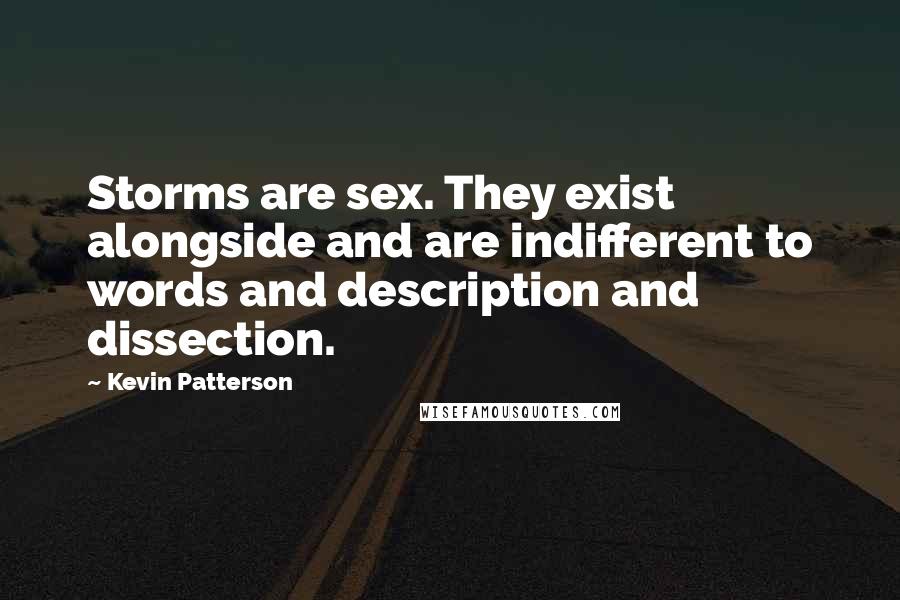 Kevin Patterson Quotes: Storms are sex. They exist alongside and are indifferent to words and description and dissection.