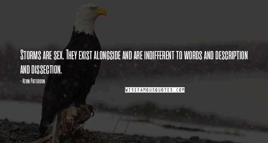 Kevin Patterson Quotes: Storms are sex. They exist alongside and are indifferent to words and description and dissection.
