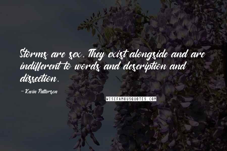 Kevin Patterson Quotes: Storms are sex. They exist alongside and are indifferent to words and description and dissection.