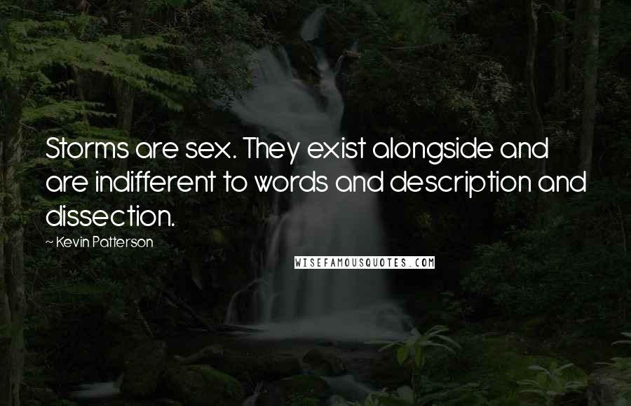 Kevin Patterson Quotes: Storms are sex. They exist alongside and are indifferent to words and description and dissection.