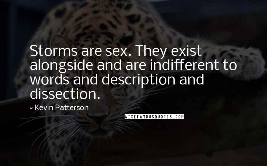 Kevin Patterson Quotes: Storms are sex. They exist alongside and are indifferent to words and description and dissection.