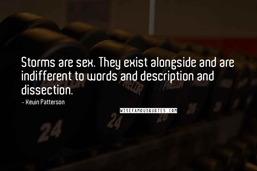 Kevin Patterson Quotes: Storms are sex. They exist alongside and are indifferent to words and description and dissection.