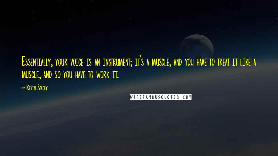 Kevin Spacey Quotes: Essentially, your voice is an instrument; it's a muscle, and you have to treat it like a muscle, and so you have to work it.