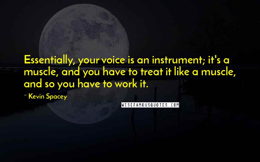 Kevin Spacey Quotes: Essentially, your voice is an instrument; it's a muscle, and you have to treat it like a muscle, and so you have to work it.