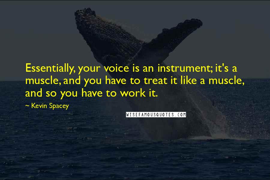 Kevin Spacey Quotes: Essentially, your voice is an instrument; it's a muscle, and you have to treat it like a muscle, and so you have to work it.