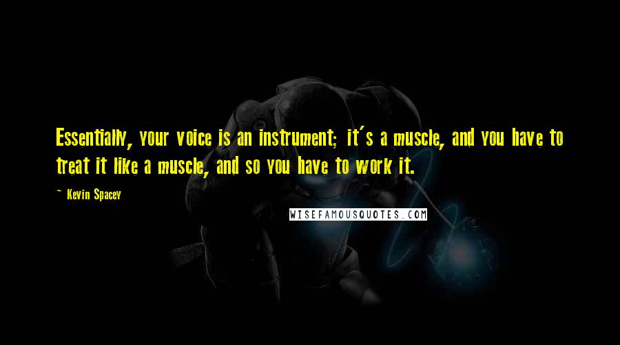 Kevin Spacey Quotes: Essentially, your voice is an instrument; it's a muscle, and you have to treat it like a muscle, and so you have to work it.