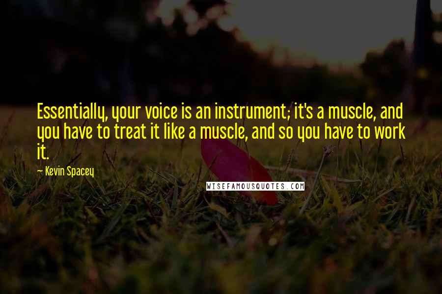 Kevin Spacey Quotes: Essentially, your voice is an instrument; it's a muscle, and you have to treat it like a muscle, and so you have to work it.