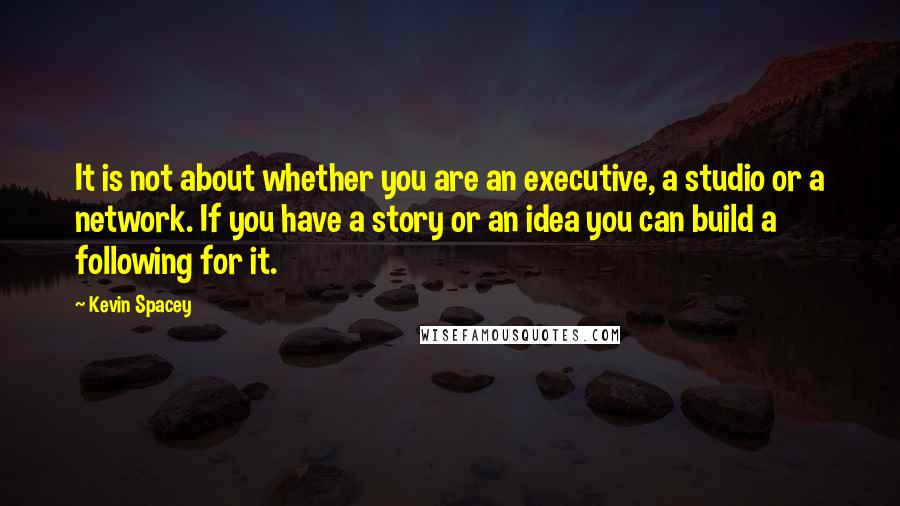 Kevin Spacey Quotes: It is not about whether you are an executive, a studio or a network. If you have a story or an idea you can build a following for it.