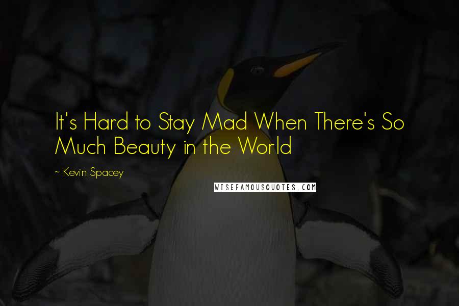 Kevin Spacey Quotes: It's Hard to Stay Mad When There's So Much Beauty in the World