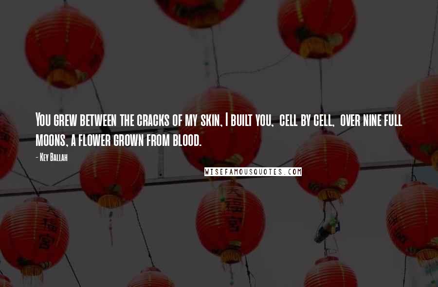 Key Ballah Quotes: You grew between the cracks of my skin, I built you, cell by cell, over nine full moons, a flower grown from blood.