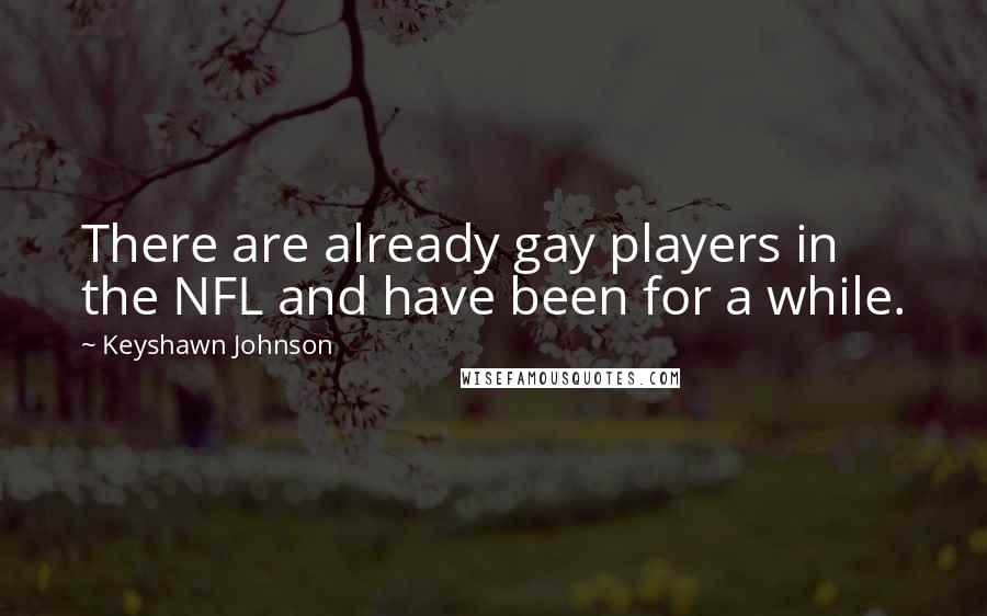 Keyshawn Johnson Quotes: There are already gay players in the NFL and have been for a while.