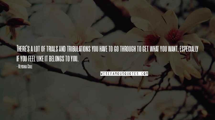 Keyshia Cole Quotes: There's a lot of trials and tribulations you have to go through to get what you want, especially if you feel like it belongs to you.